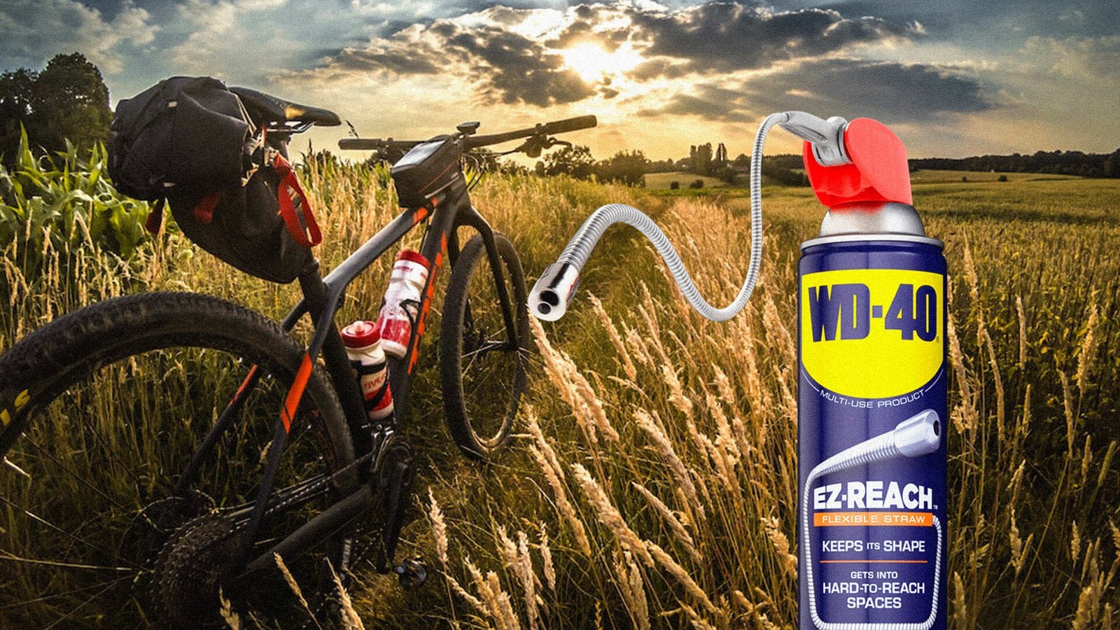 How to remove a bike wheel and replace the tube