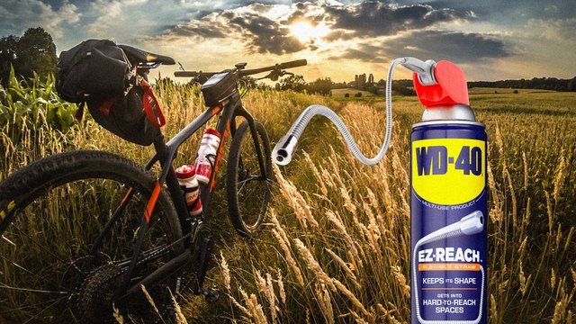How to remove a bike wheel and replace the tube