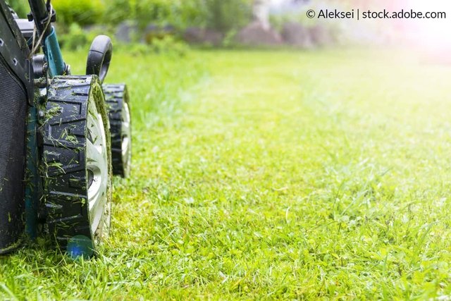 How to Clean a Lawn Mower
