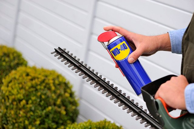 How to clean and lubricate a hedge trimmer