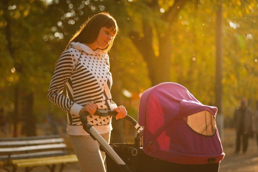 Inspect the pushchair