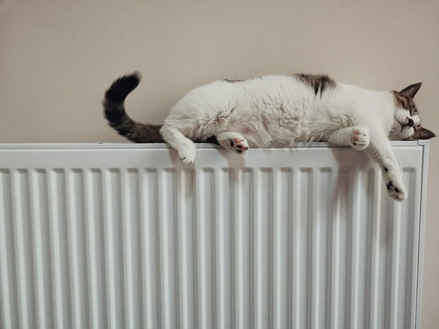 How to Flush a Central Heating System
