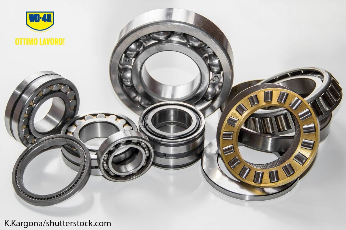 Remove the bearing and shields