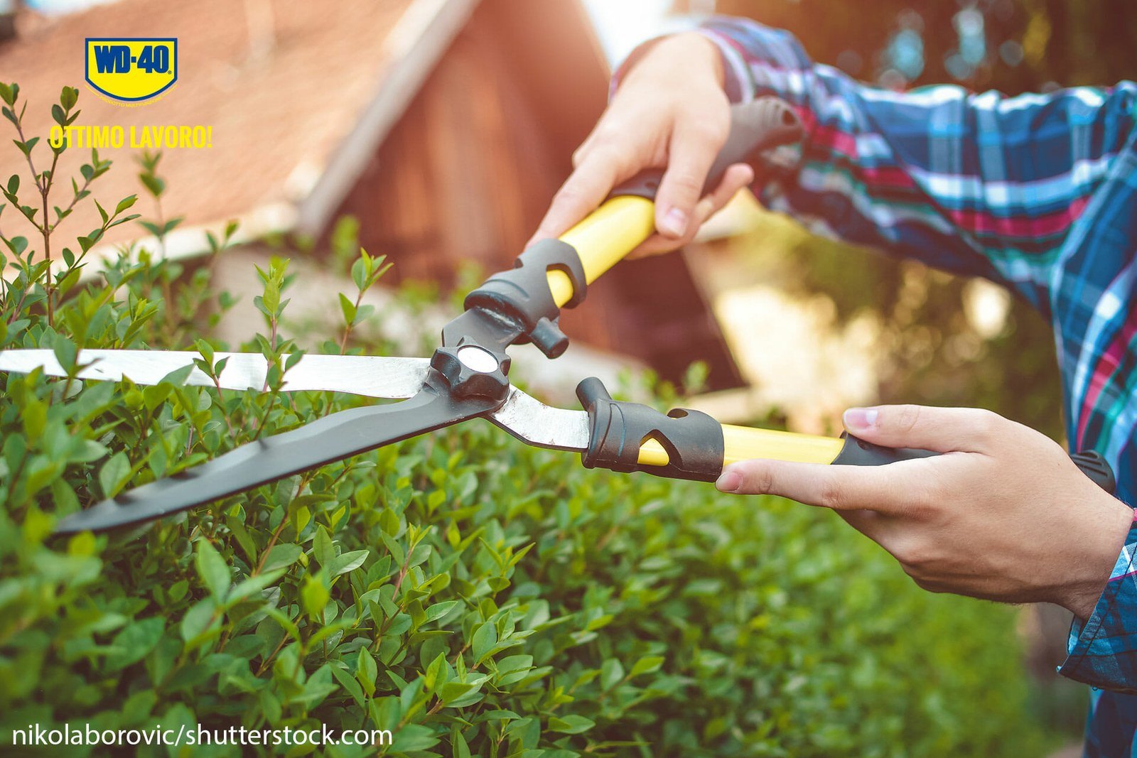 How to lubricate and sharpen garden cutting tools