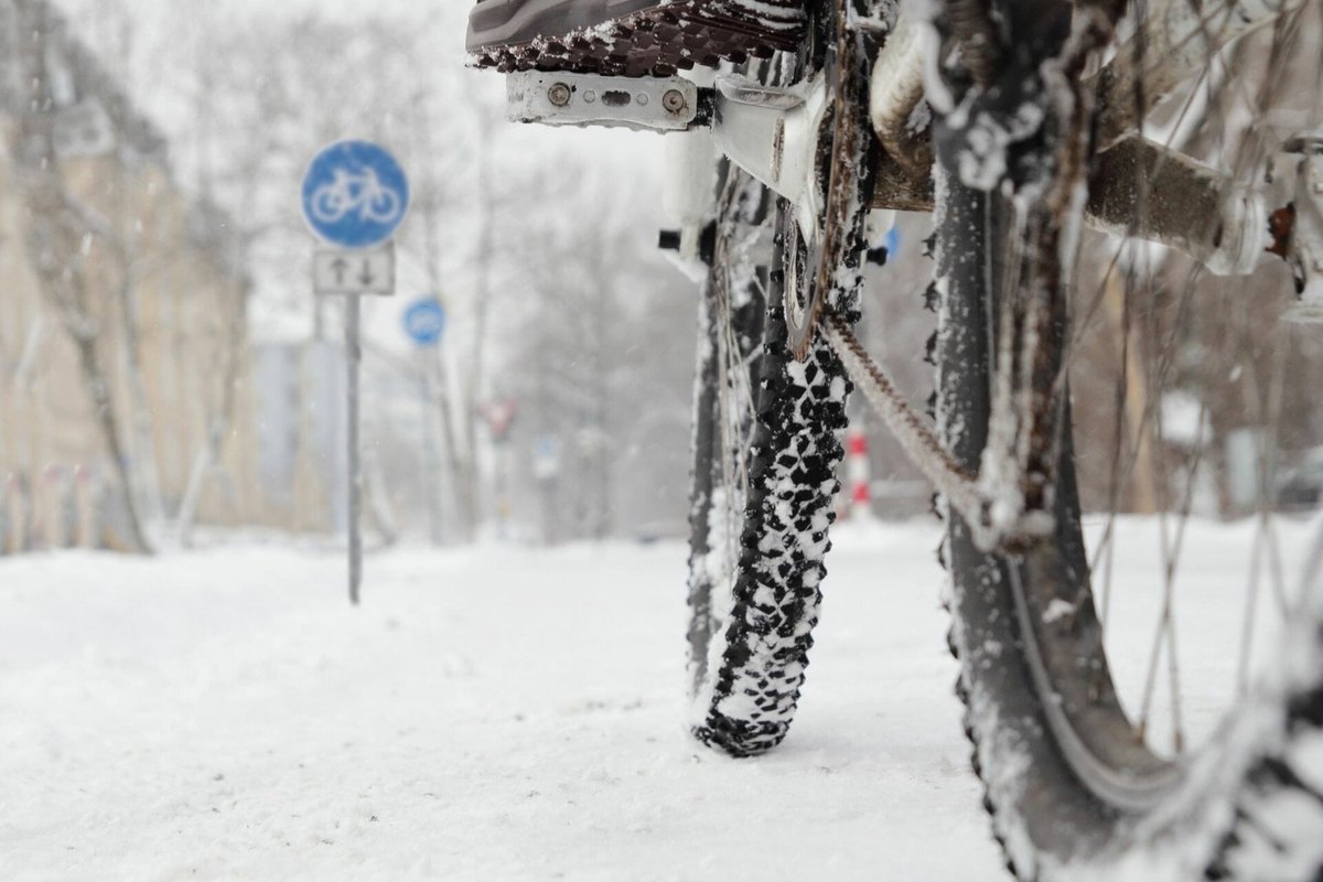 Do a safety check before riding