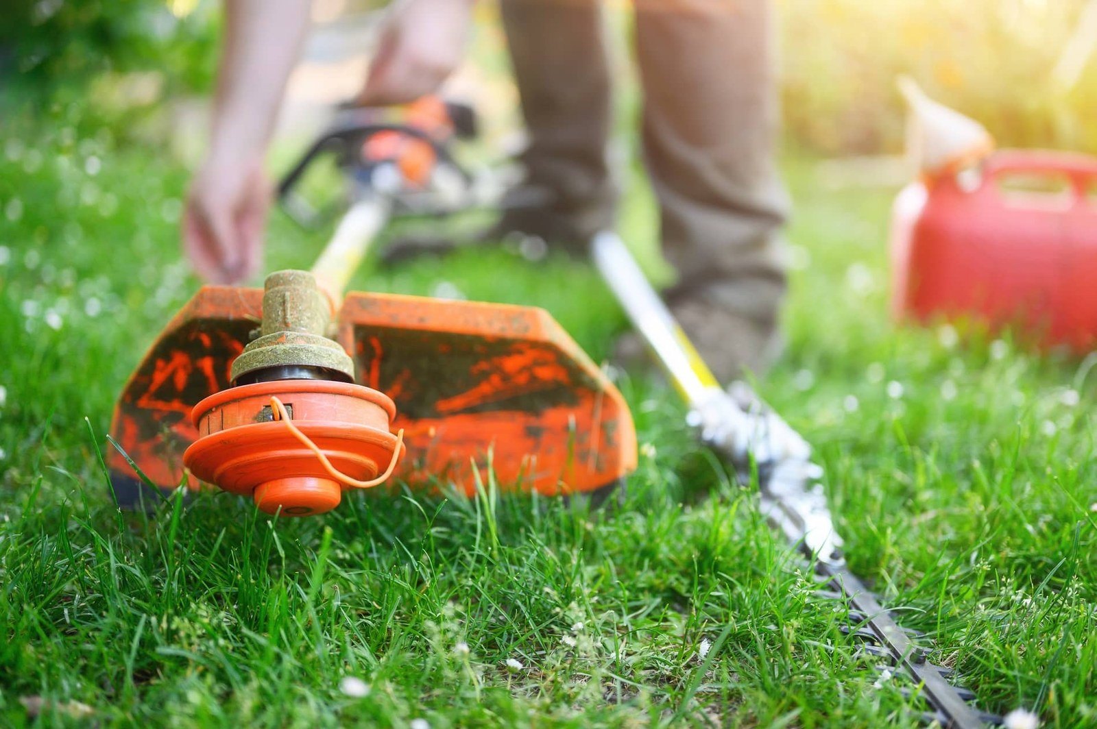 How to maintain a brush cutter or strimmer