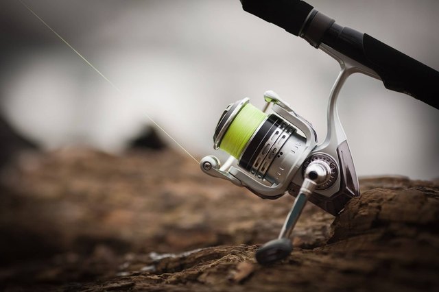 How to Maintain a Fishing Reel