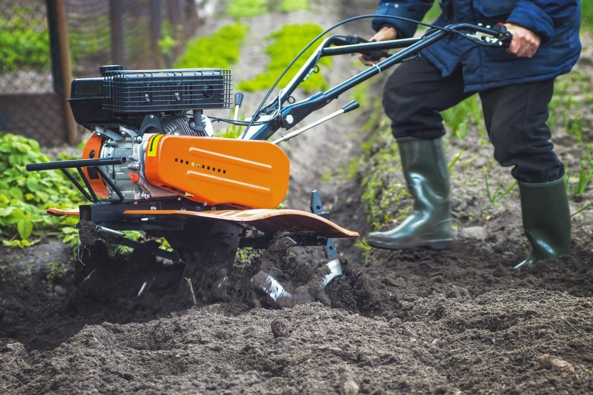 Service the tines and shafts
