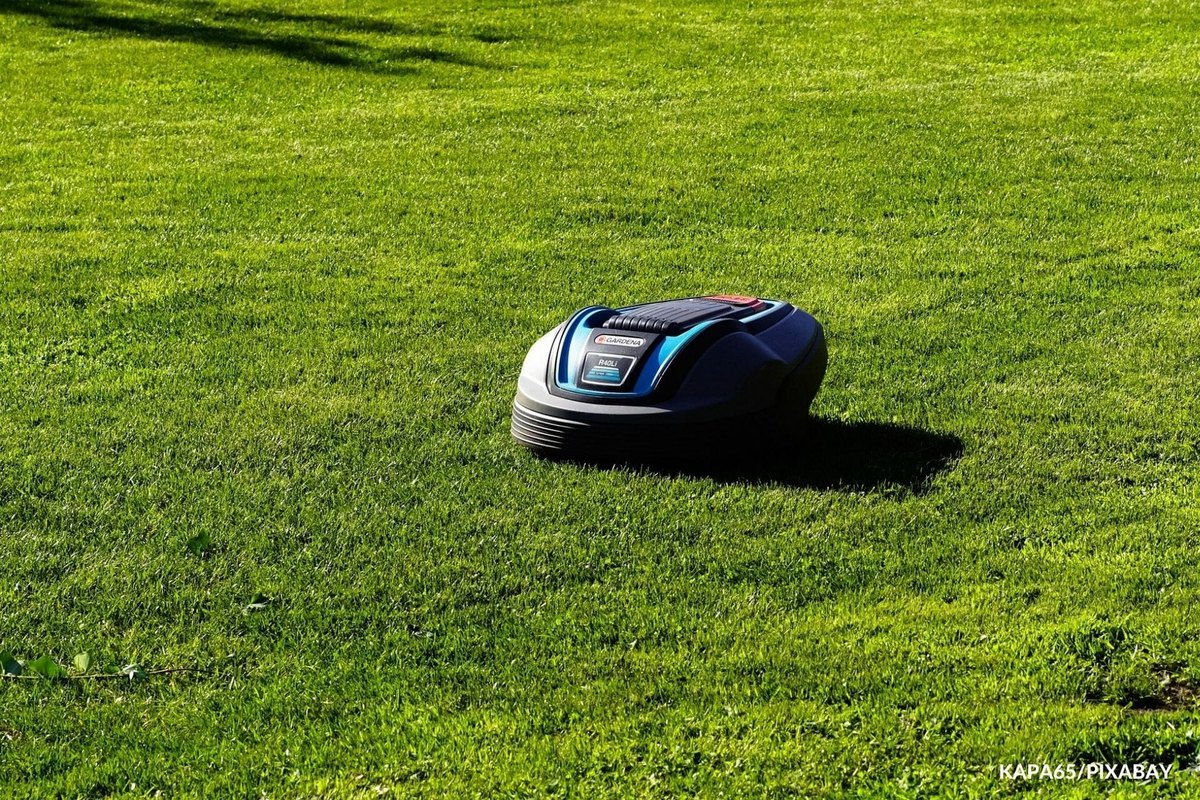 Remove grass and dust every week