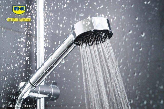 How to maintain a shower head and hose
