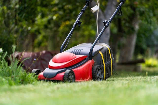 How to maintain an electric lawn mower
