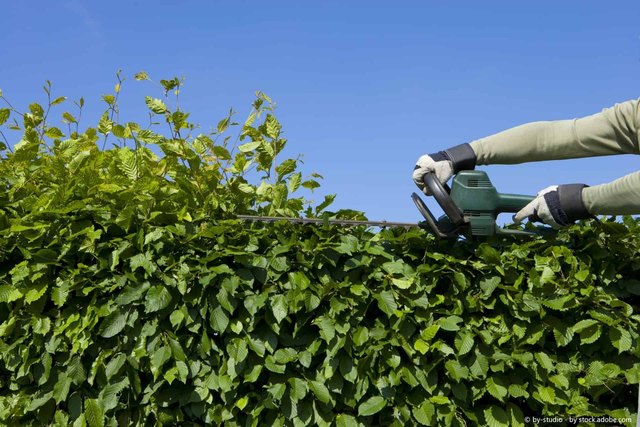 How to Prepare the Garden for Autumn