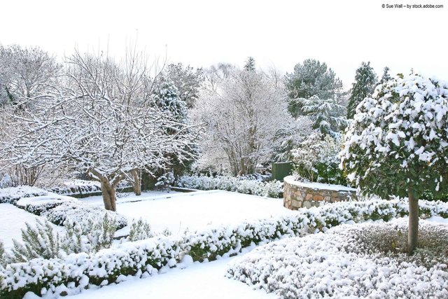 How to Prepare the Garden for Winter