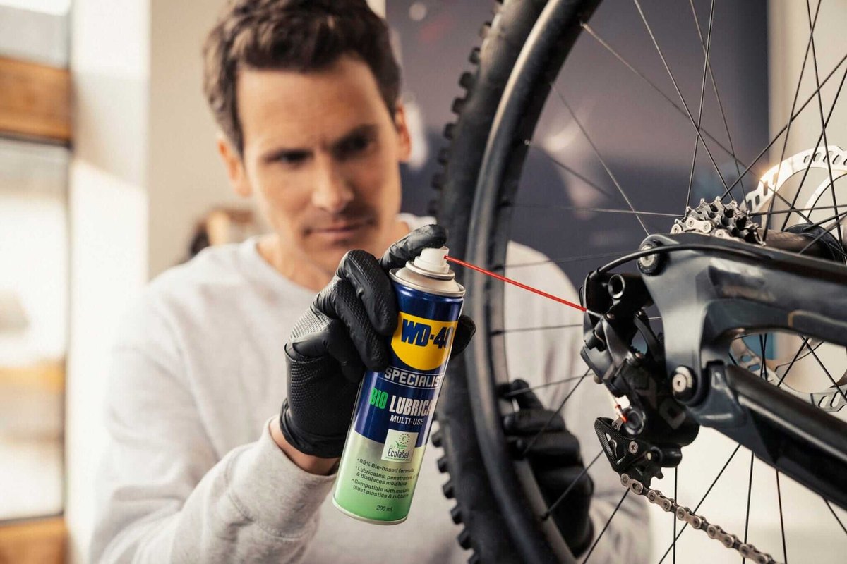 Stand and prepare the bike
