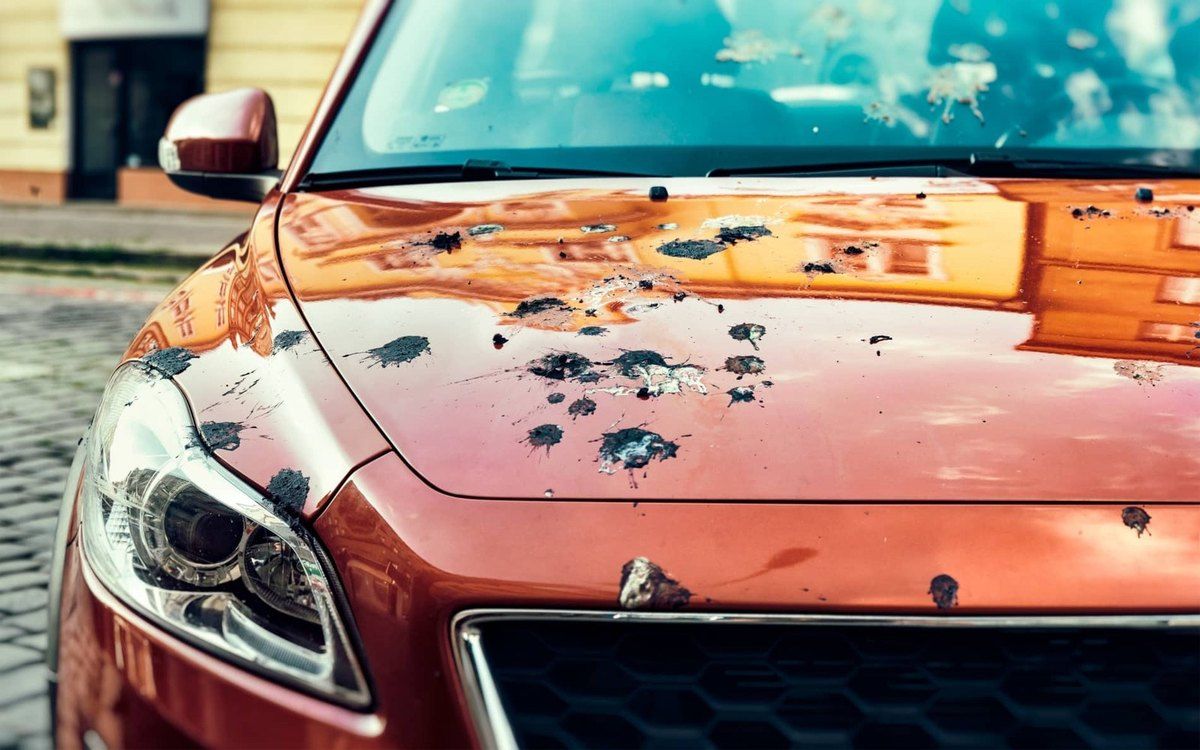 Check the damage