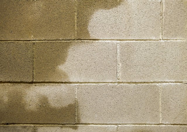 How to Remove Excess Humidity from Your Home