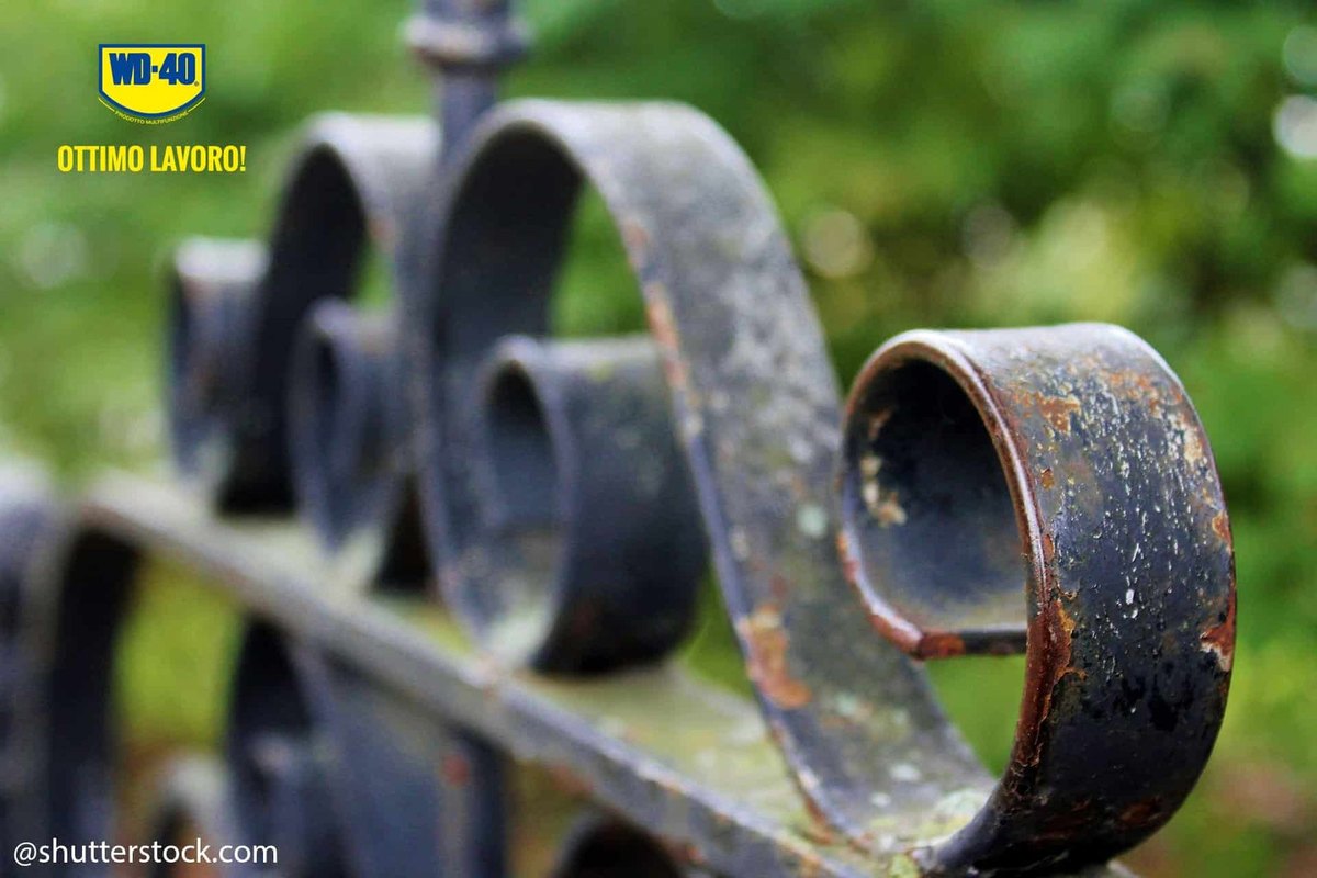 Assess the rust