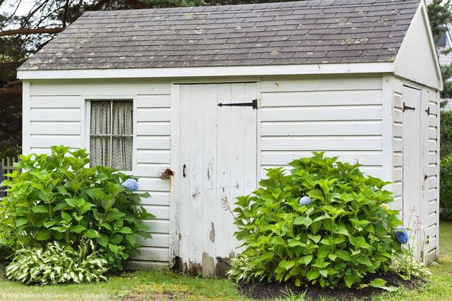 How to Renovate a Garden Shed Yourself