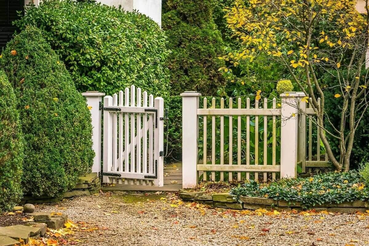 Clean the gate