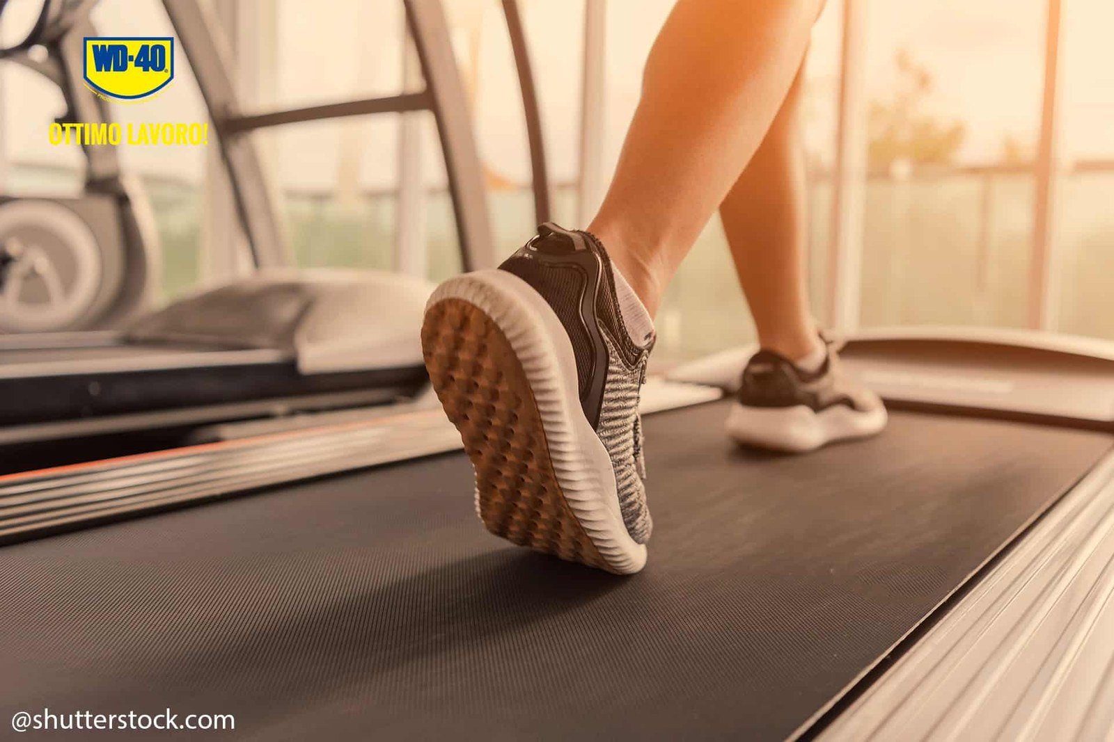 How to Replace a Treadmill Drive Belt